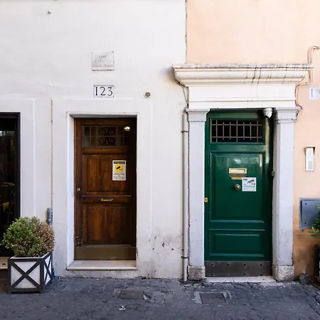 Sonder — Piazza Coronari Rome